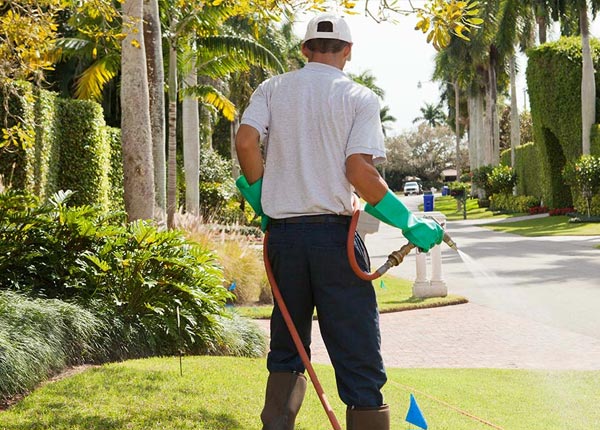 About Mingus TX Pest Control